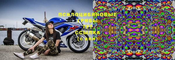 трава Аркадак