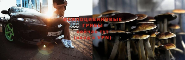 прущие крисы Армянск