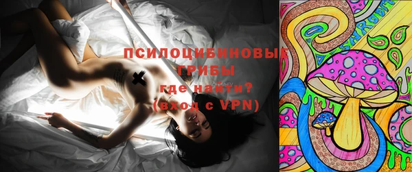 трава Аркадак