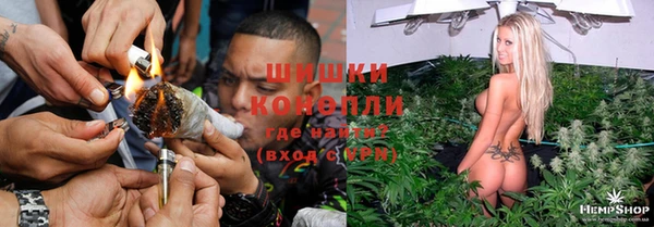 трава Аркадак