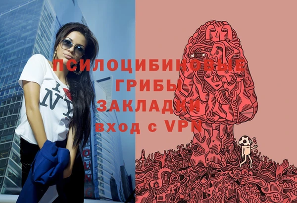 прущие крисы Армянск