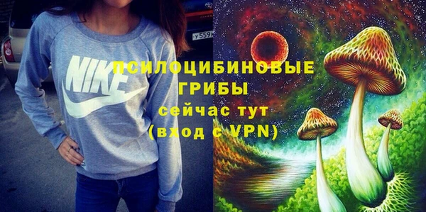трава Аркадак