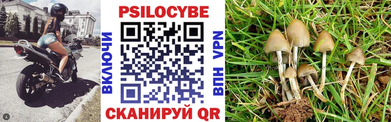 Галлюциногенные грибы Psilocybine cubensis  Тихвин 